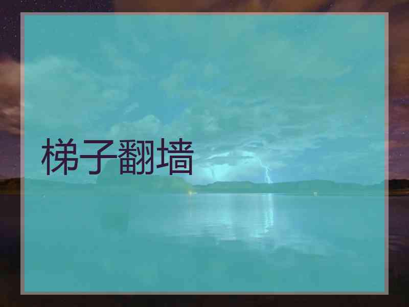 梯子翻墙