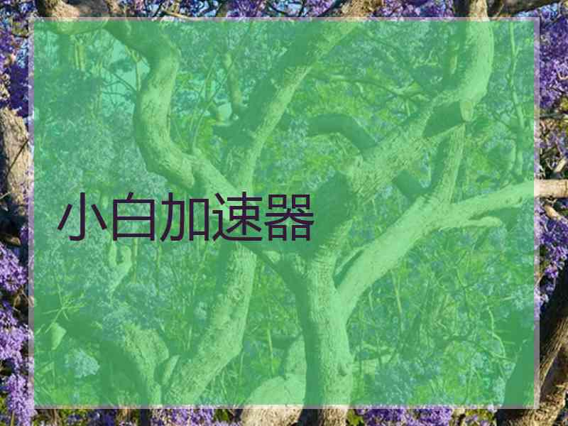 小白加速器