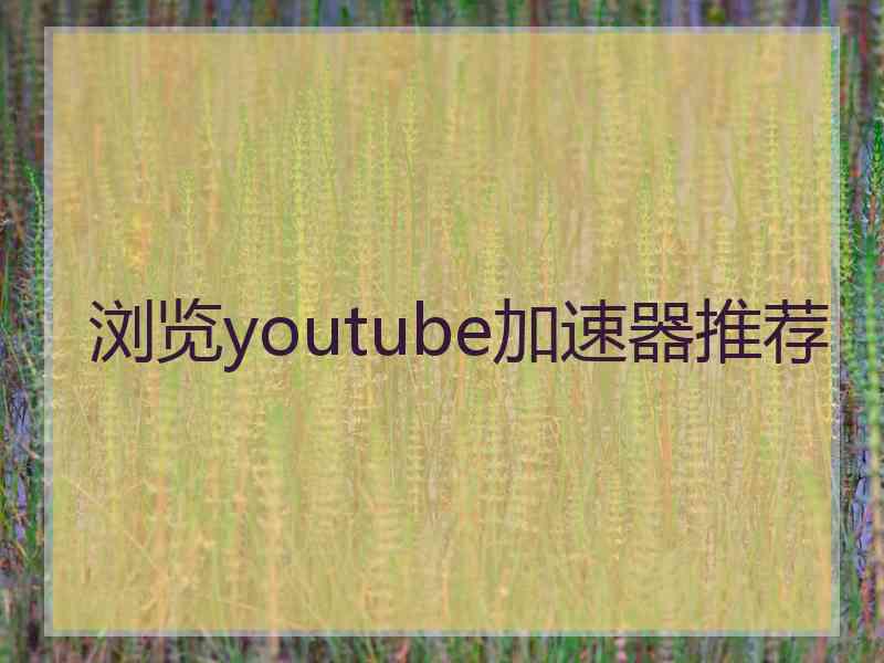浏览youtube加速器推荐