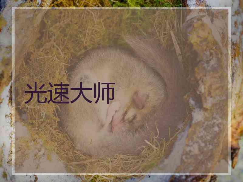 光速大师