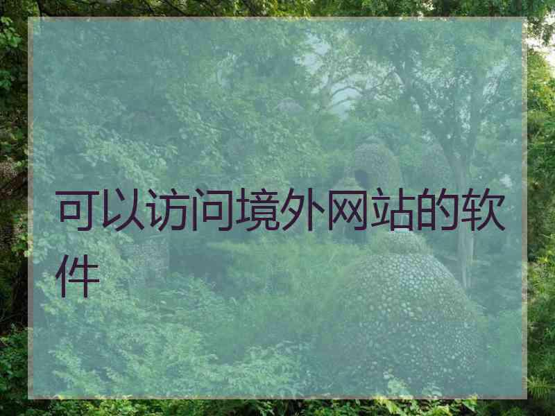 可以访问境外网站的软件