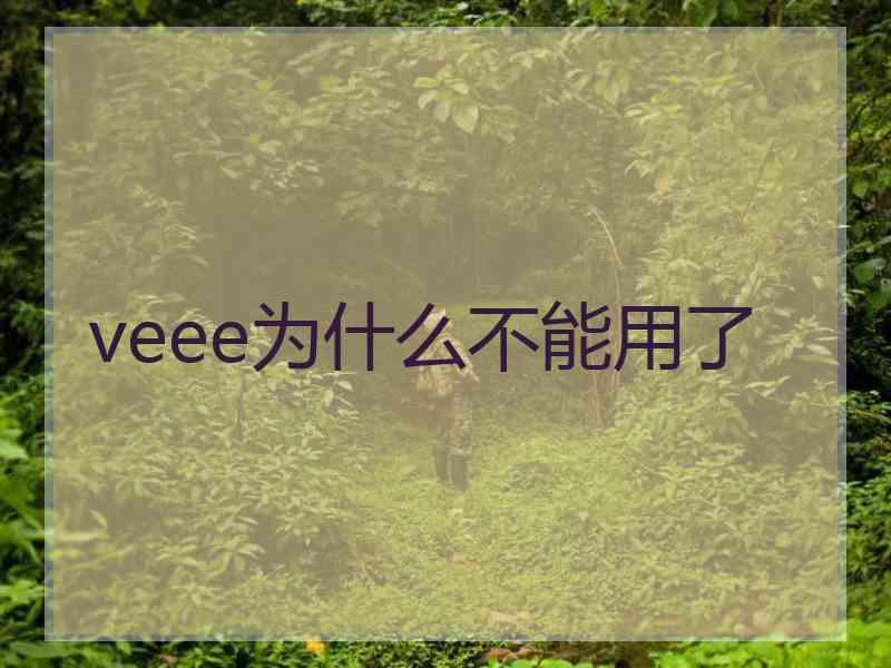 veee为什么不能用了