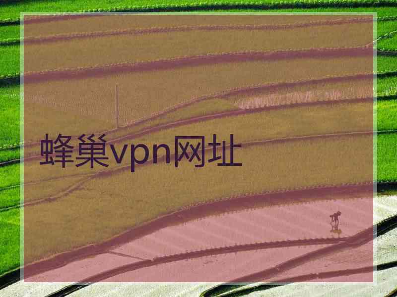 蜂巢vpn网址