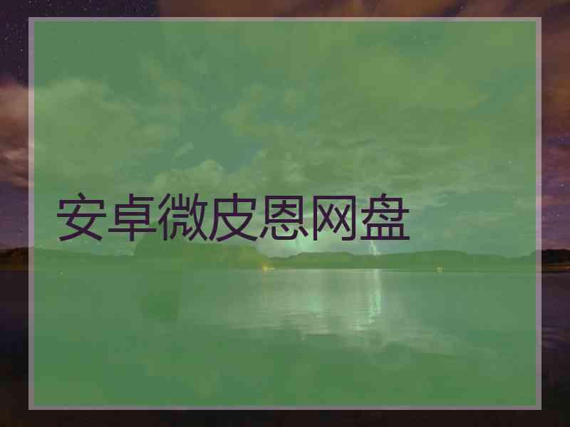 安卓微皮恩网盘