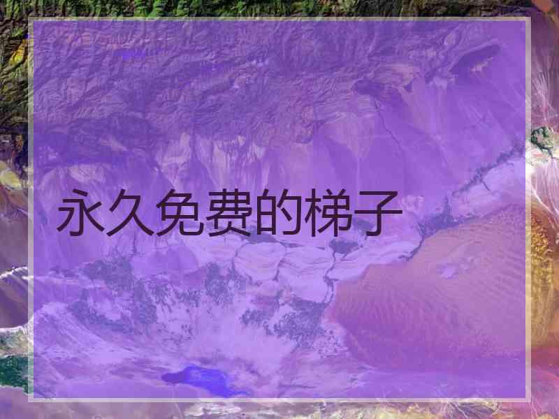 永久免费的梯子