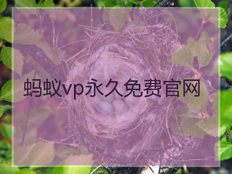 蚂蚁vp永久免费官网