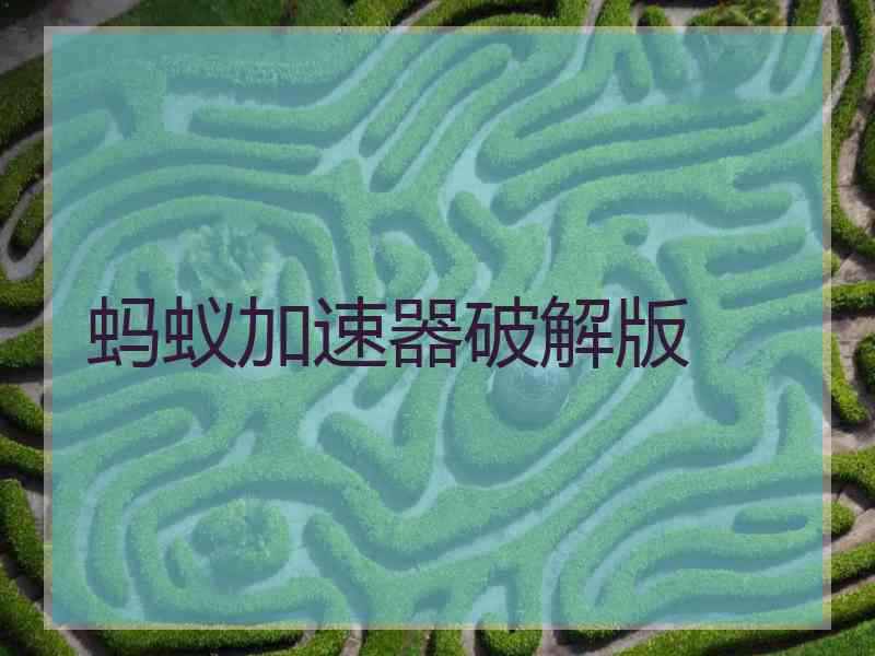 蚂蚁加速器破解版