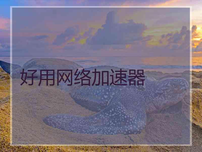好用网络加速器