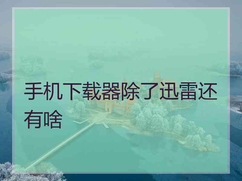 手机下载器除了迅雷还有啥