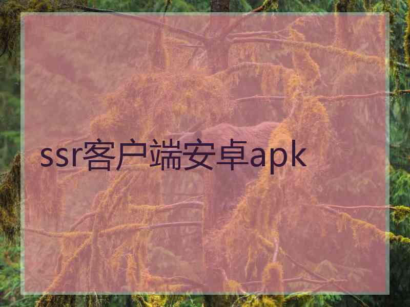 ssr客户端安卓apk