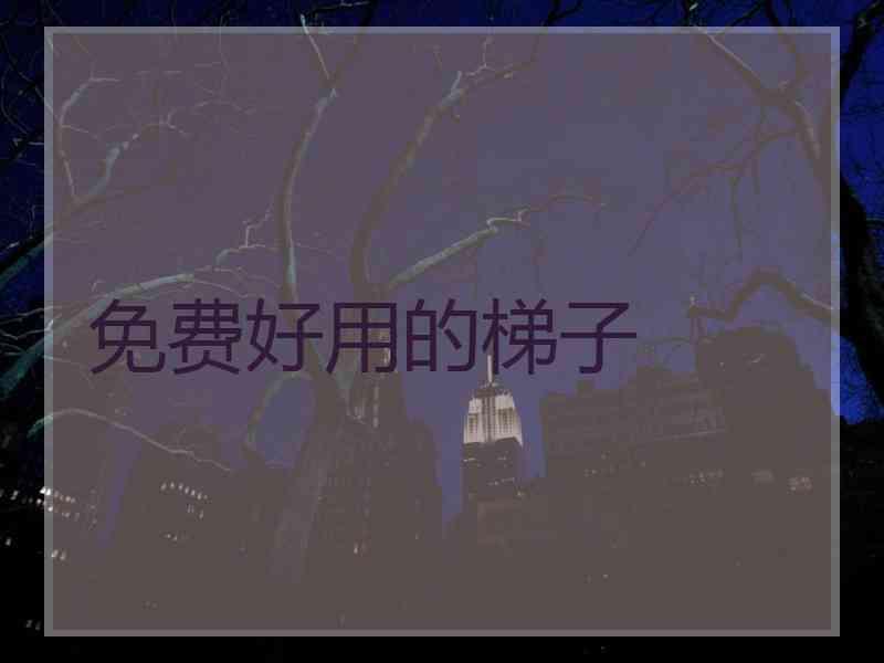 免费好用的梯子