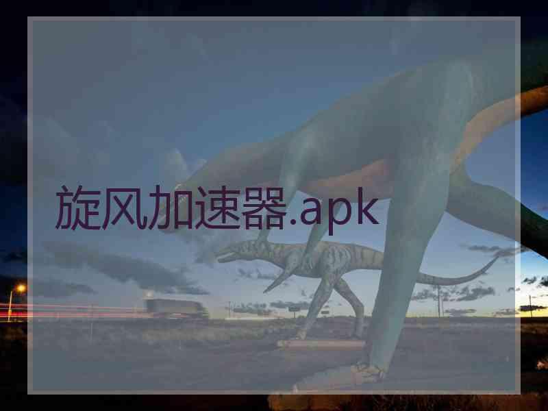 旋风加速器.apk
