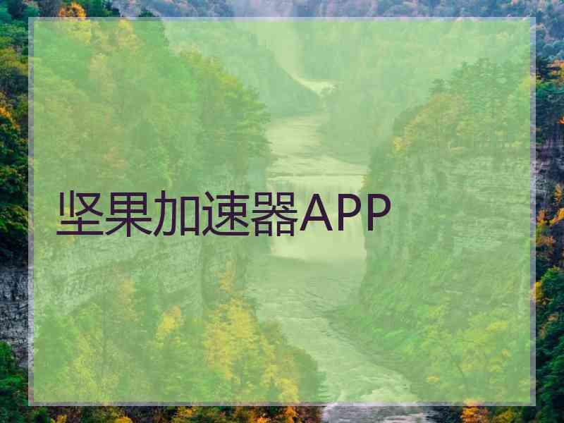 坚果加速器APP