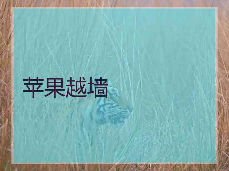 苹果越墙