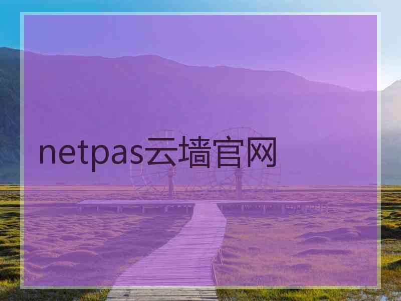netpas云墙官网