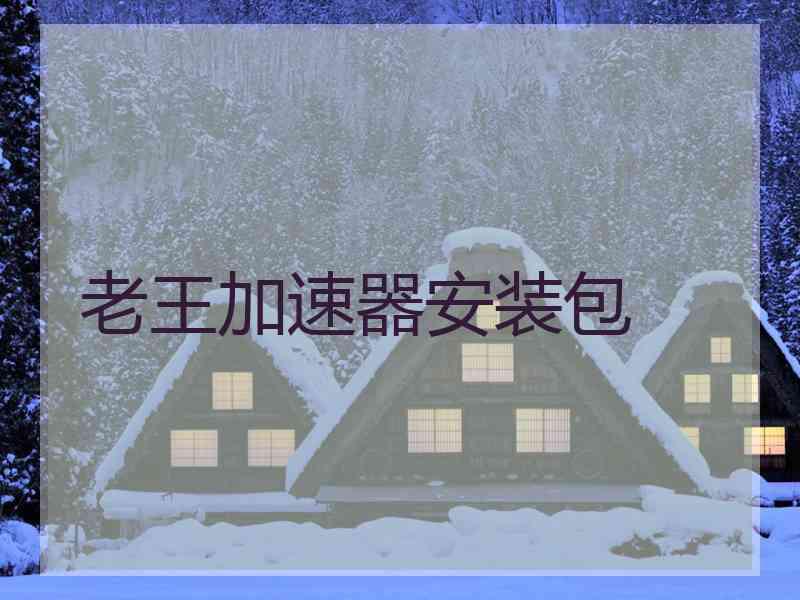 老王加速器安装包