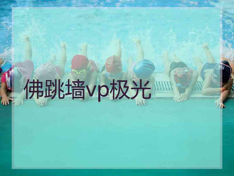 佛跳墙vp极光