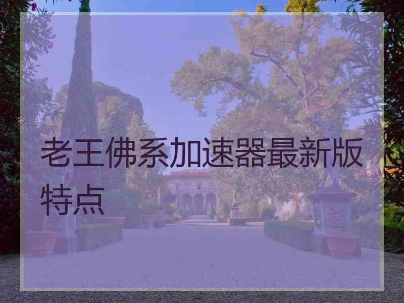 老王佛系加速器最新版特点
