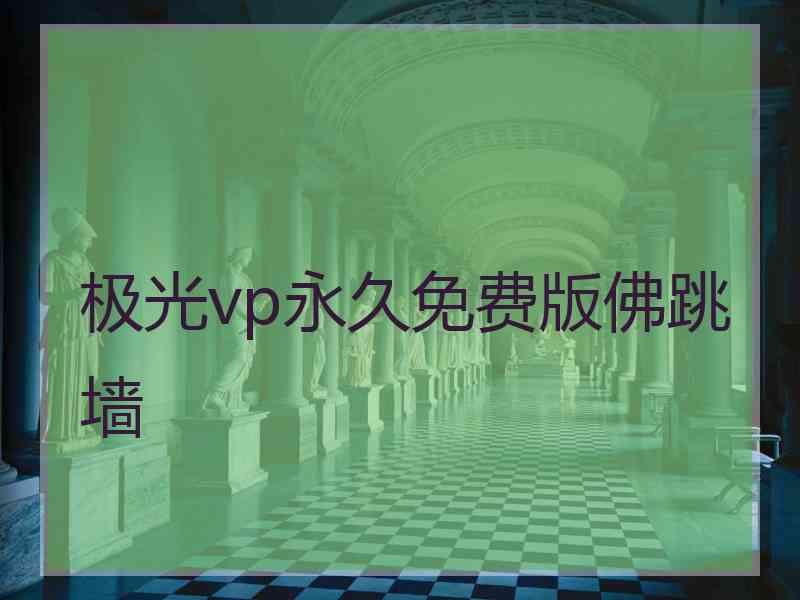 极光vp永久免费版佛跳墙