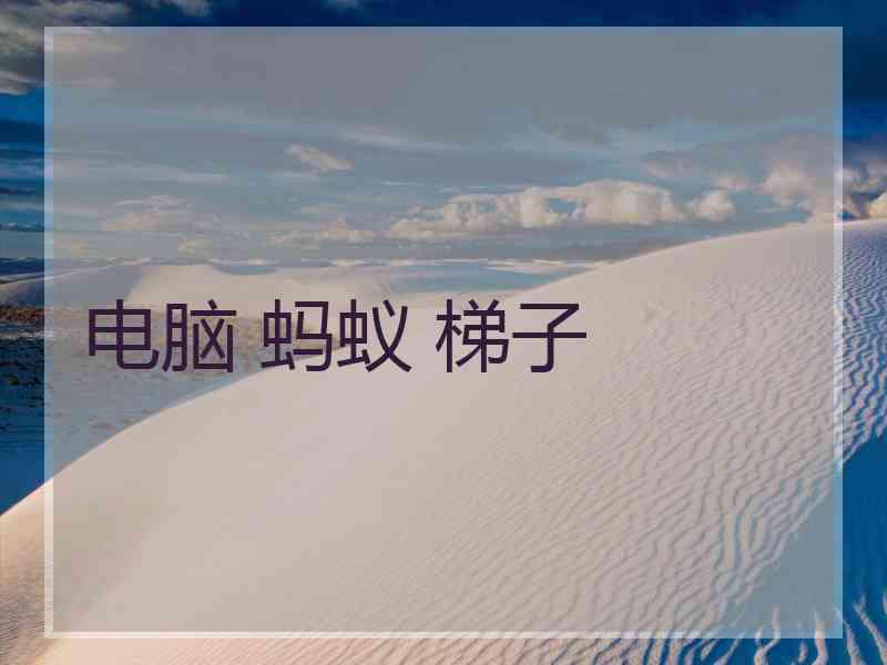 电脑 蚂蚁 梯子