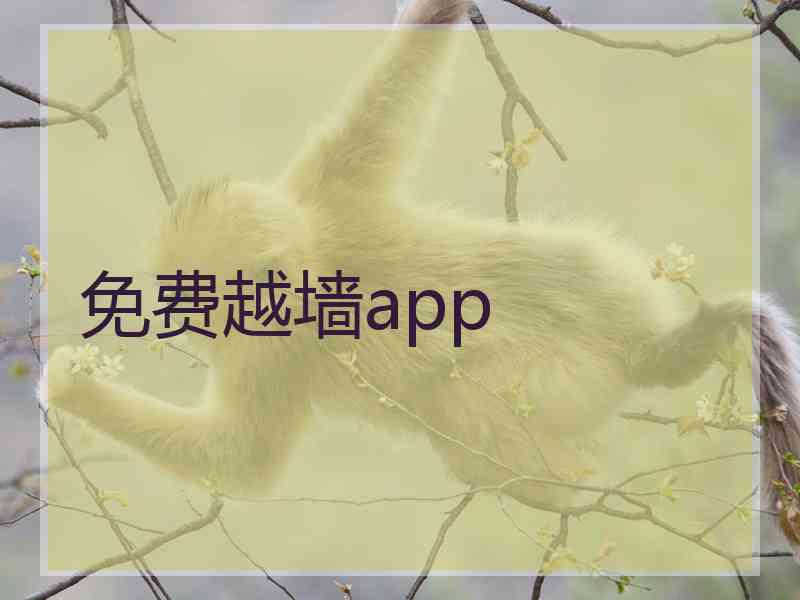免费越墙app