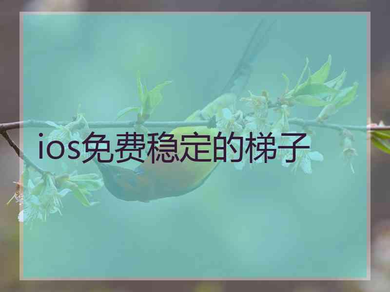 ios免费稳定的梯子