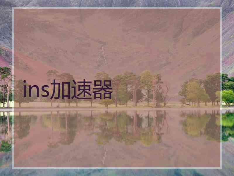 ins加速器