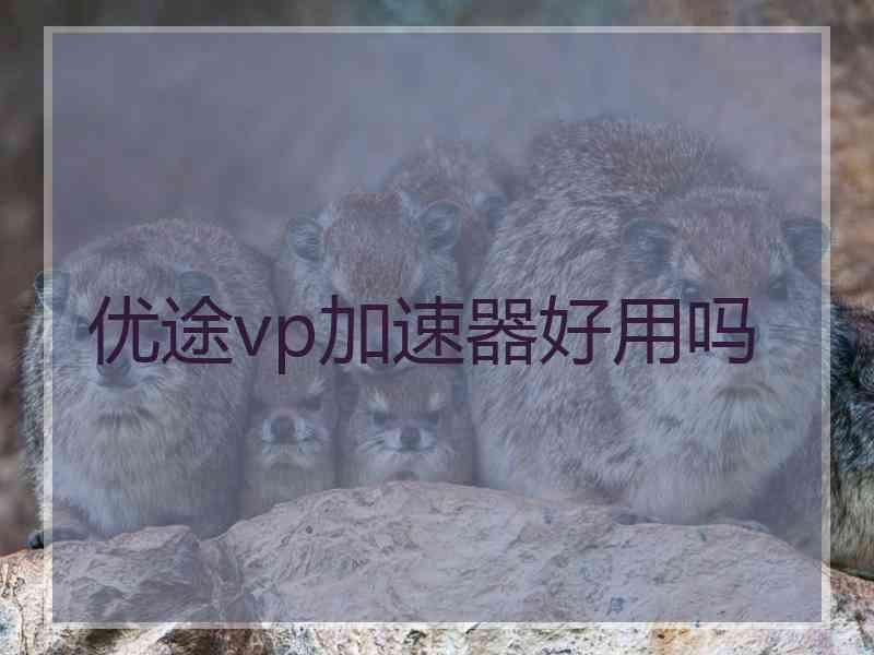 优途vp加速器好用吗