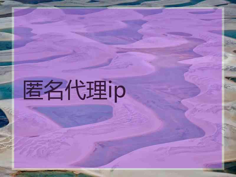 匿名代理ip