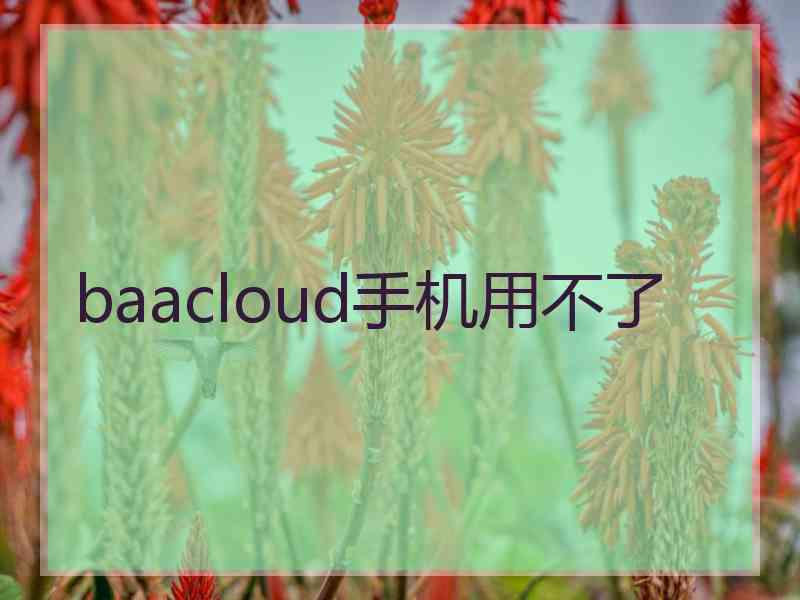 baacloud手机用不了