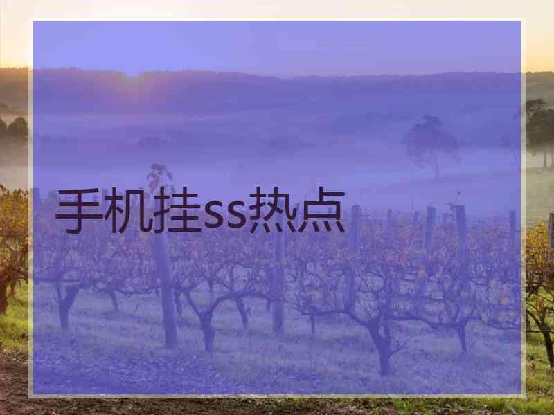 手机挂ss热点
