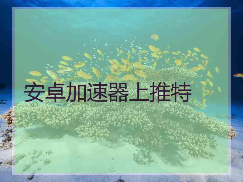 安卓加速器上推特