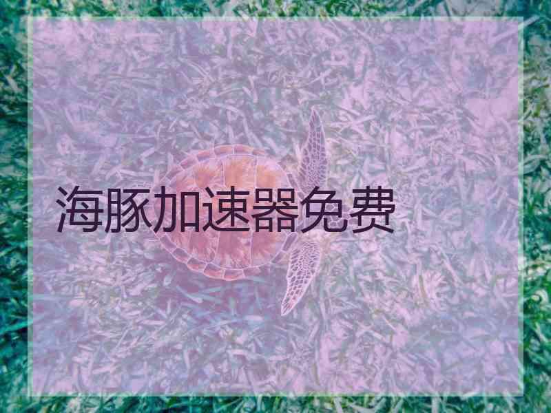 海豚加速器免费