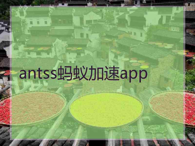 antss蚂蚁加速app