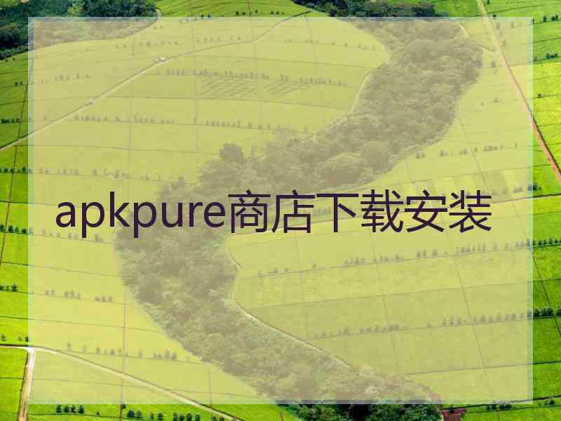 apkpure商店下载安装