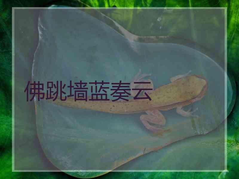 佛跳墙蓝奏云