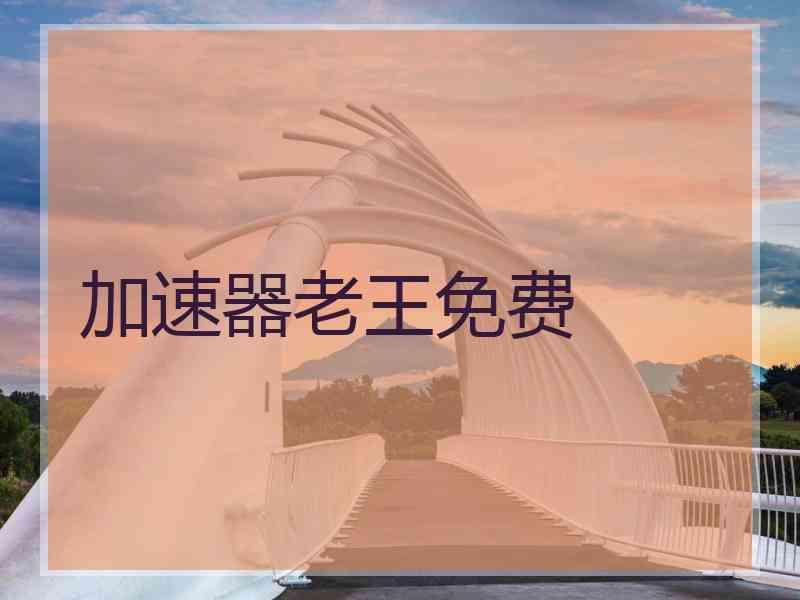 加速器老王免费