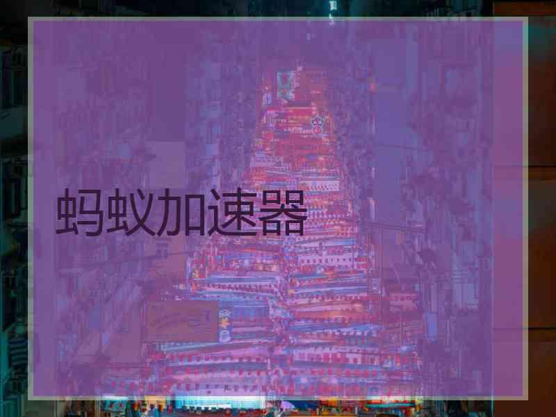 蚂蚁加速器
