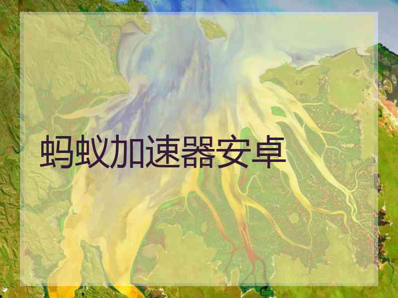 蚂蚁加速器安卓