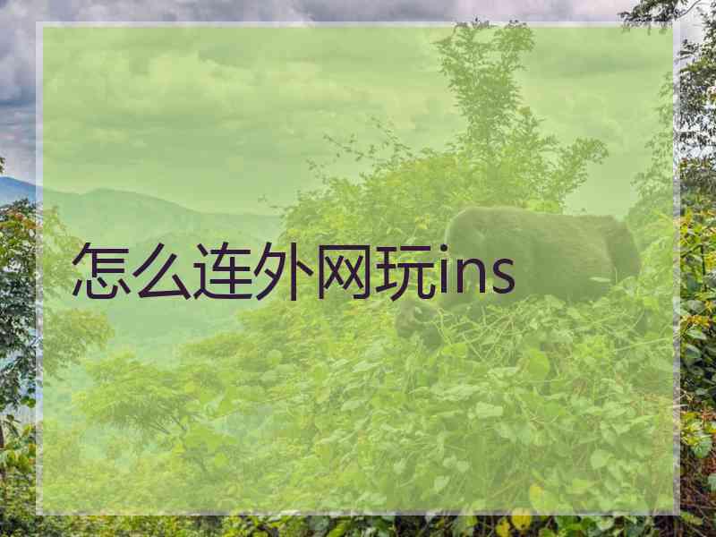 怎么连外网玩ins
