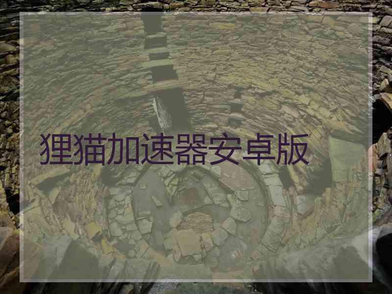 狸猫加速器安卓版