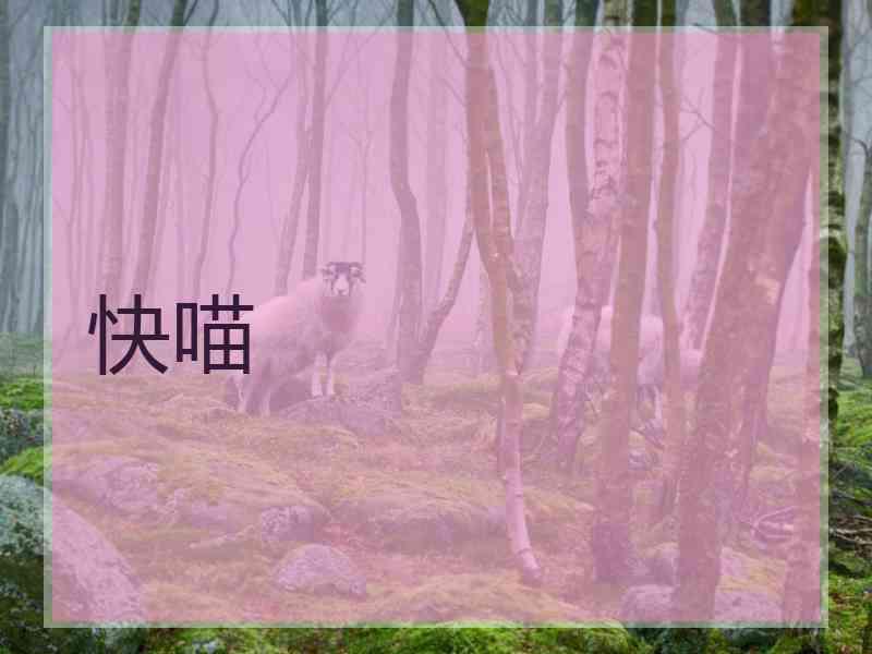 快喵