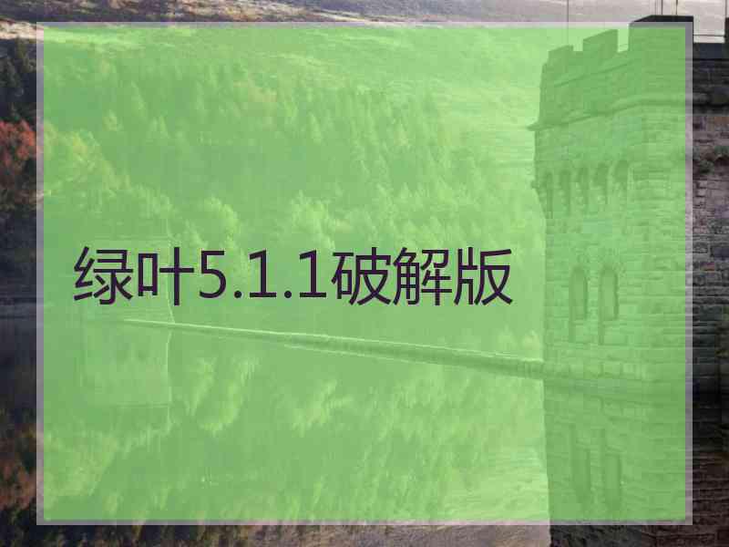绿叶5.1.1破解版