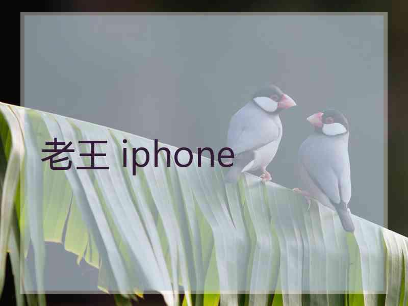 老王 iphone