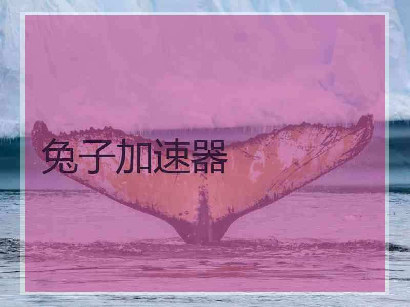 兔子加速器