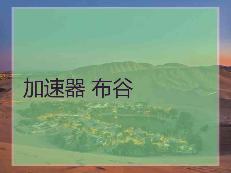 加速器 布谷