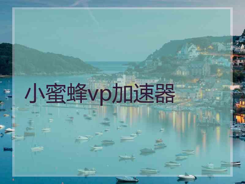 小蜜蜂vp加速器