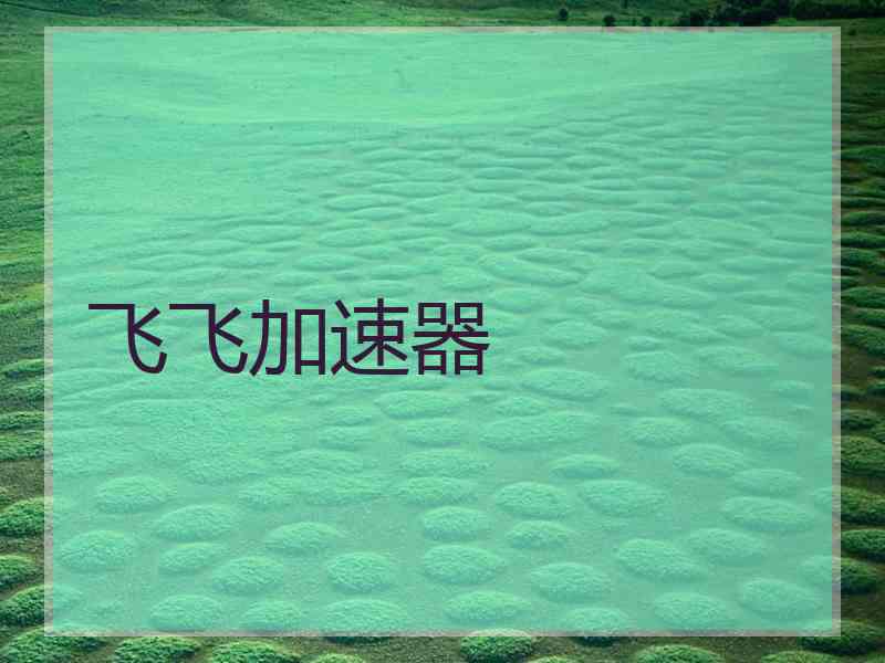 飞飞加速器