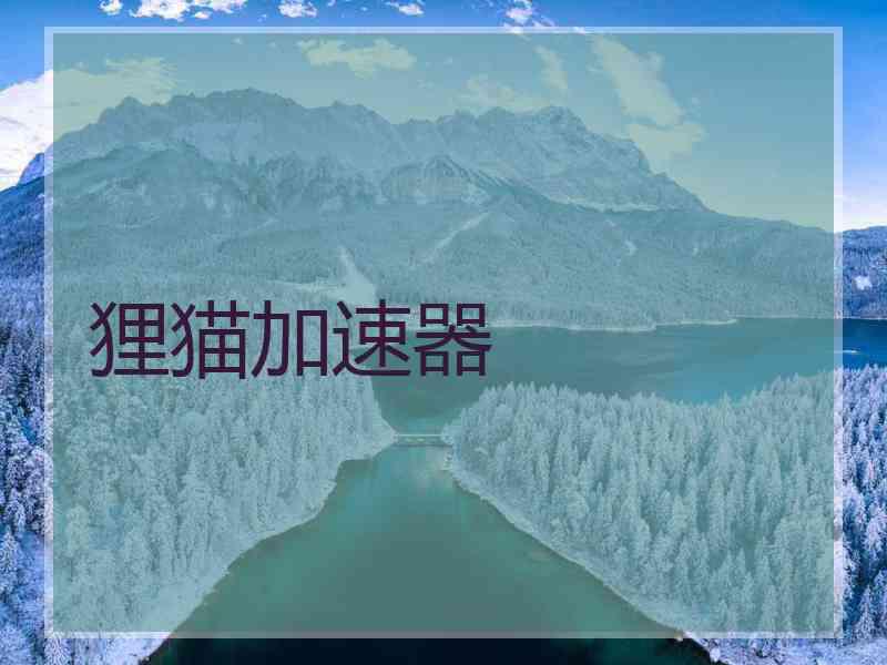 狸猫加速器
