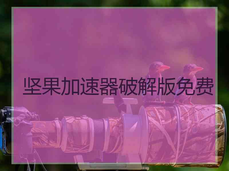 坚果加速器破解版免费